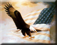 US Flag Eagle...