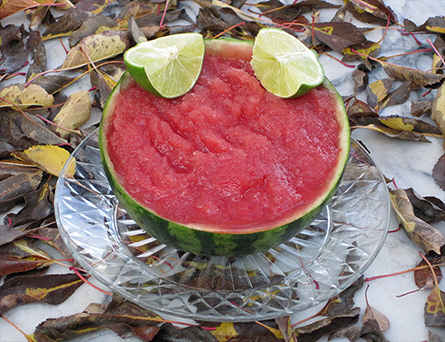 Icy Watermelon Sorbet