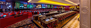RACE & SPORTS BOOK