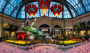 CONSERVATORY &&nbsp;BOTANICAL GARDENS